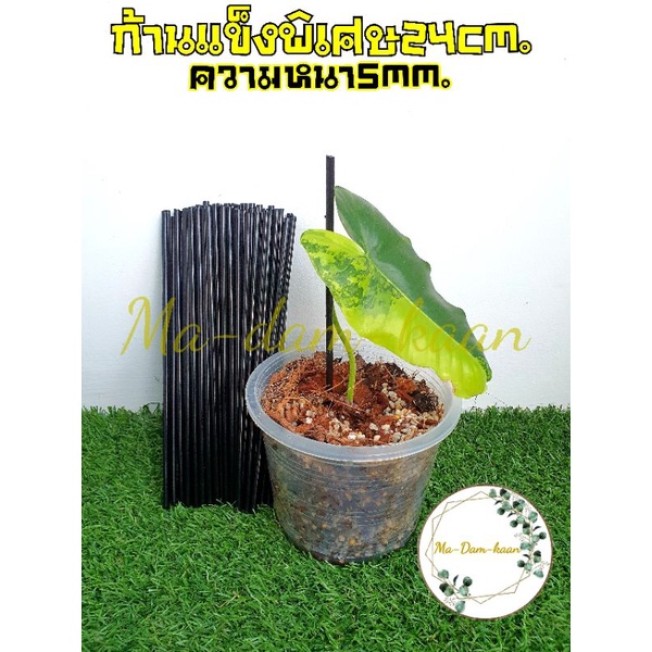 ก้านพลาสติกดำ24cm-5mm-ชนิดแข็งพิเศษ-แพ็ค100ก้าน