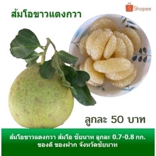ส้ม ส้มโอ ส้มโอขาวแตงกวา ของฝาก จังหวัดชัยนาท ขนาด 0.7-0.8 กิโลกรัม photo