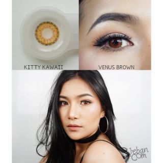 💖 Kitty Kawaii Venus mini/big -00 -425 -450  brown gray Contactlens บิ๊กอาย คอนแทคเลนส์ ราคาถูd