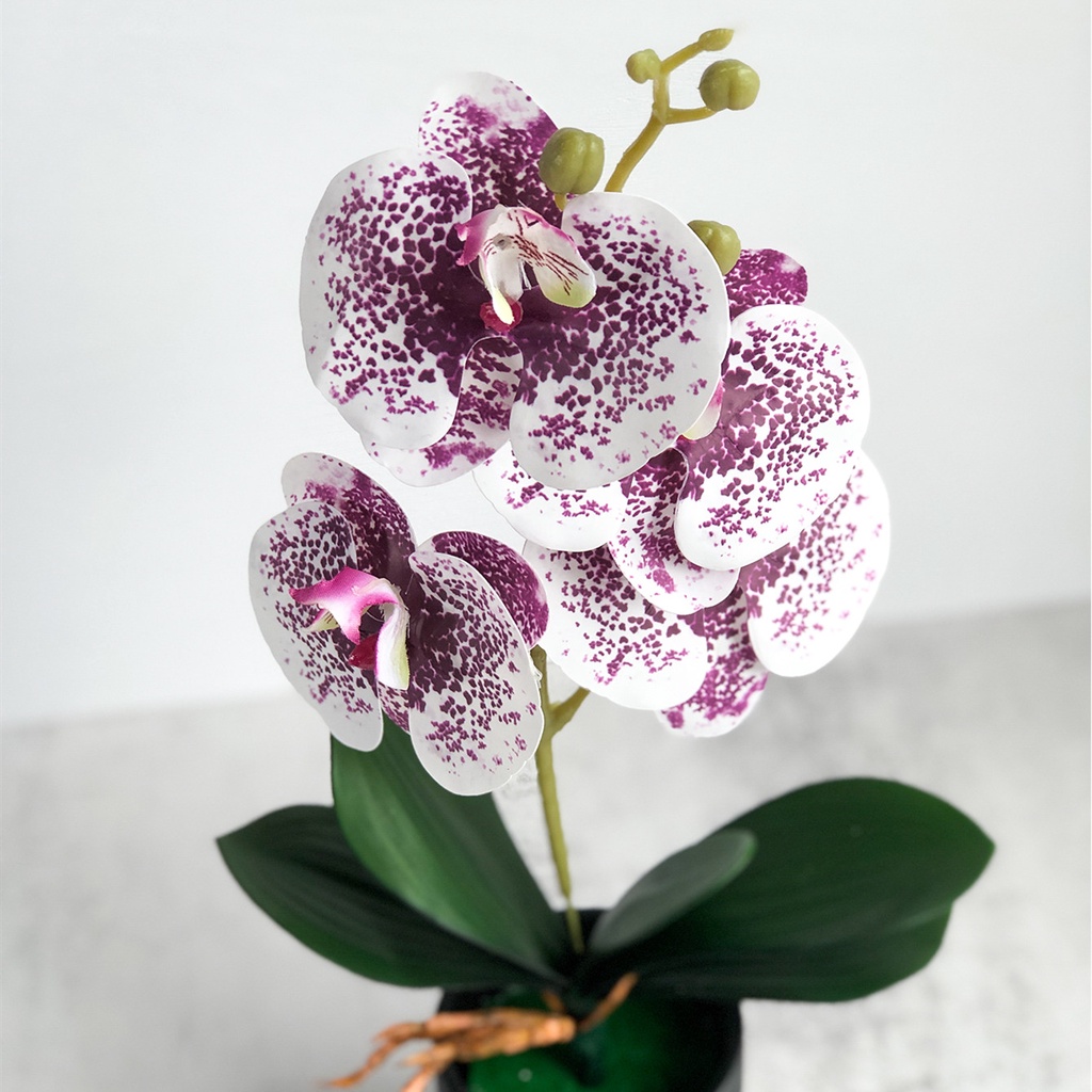 ภาพสินค้าดอกไม้ประดิษฐ์ Phalaenopsis High-End สําหรับตกแต่งบ้าน จากร้าน moshee.th บน Shopee ภาพที่ 4