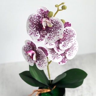 ภาพขนาดย่อของภาพหน้าปกสินค้าดอกไม้ประดิษฐ์ Phalaenopsis High-End สําหรับตกแต่งบ้าน จากร้าน moshee.th บน Shopee ภาพที่ 4