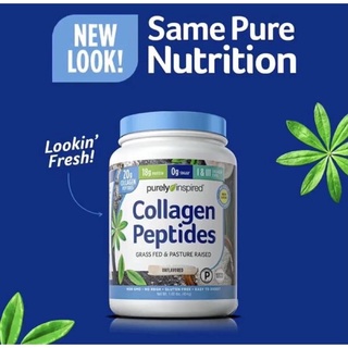 พร้อมส่ง⚡️Purely Inspired Collagen Protein, Grass Fed &amp; Pasture Raised Collagen Peptides Powder, Unflavoured