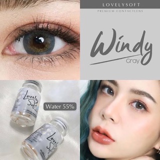 ✨ Windy brown (Lovely soft) ขนาดBig ตาโต ✔️เลนส์จดทะเบียนถูกต้อง (บิ๊กอาย คอนแทคเลนส์ bigeyes)