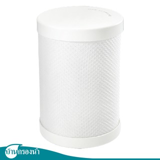 Filtex ไส้กรองแอ็คติเวทคาร์บอนอัดแท่ง (AC) Carbon Whole House Filter