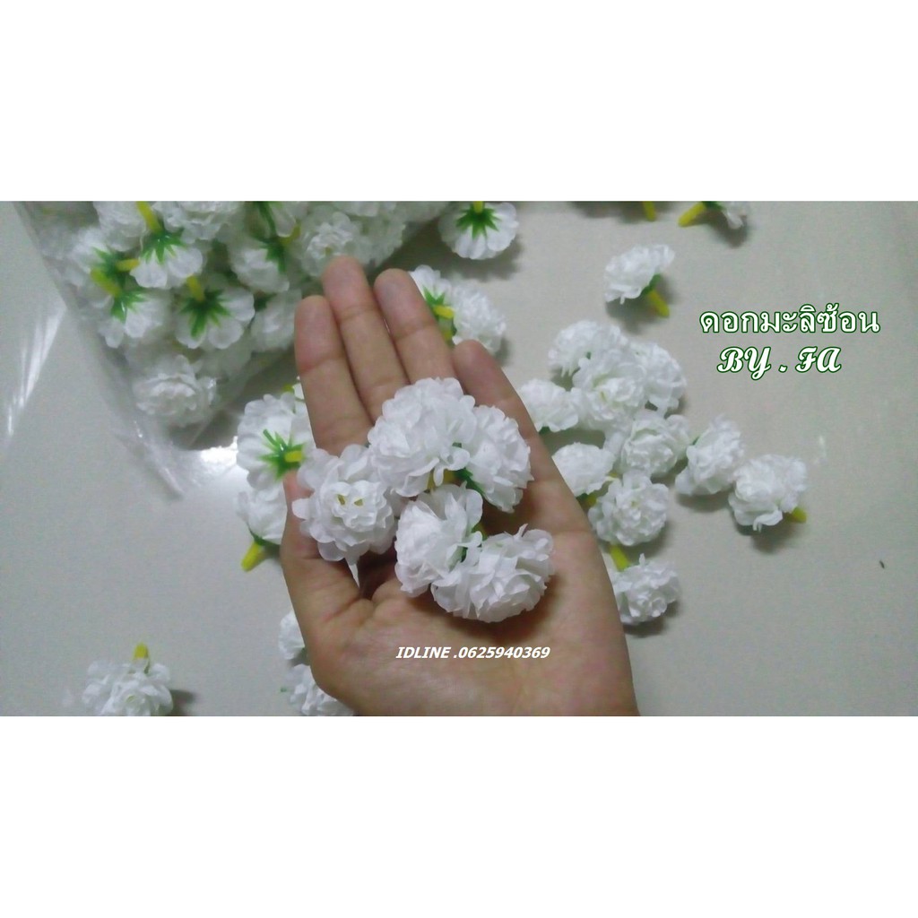 ดอกมะลิ-ดอกมะลิซ้อน-ดอกมะลิวันแม่-no-080