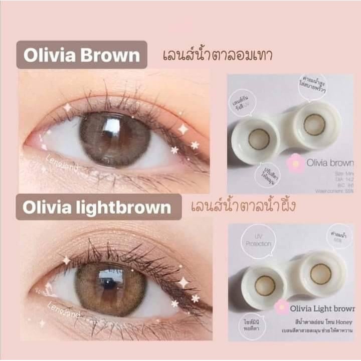 mini-olivia-brown-1-2-มินิ-สีน้ำตาล-น้ำตาล-โทนธรรมชาติ-ละมุน-kitty-kawaii-ค่าอมน้ำสูง-ช่วยถนอมดวงตา-contact-lens