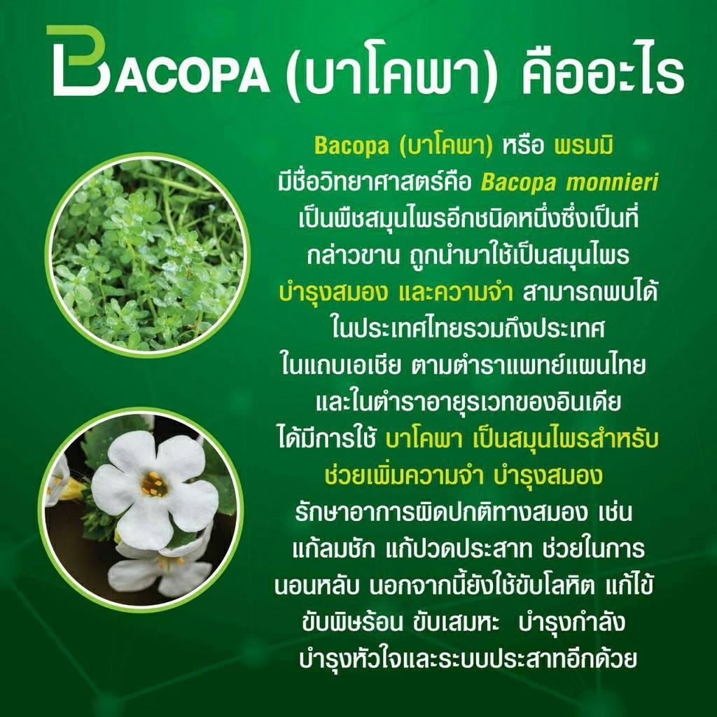 บาโคพา-กิฟฟารีน-บำรุงสมอง-ลดอาการหลงลืม-bacopa-giffarine-อาหารเสริม-สมุนไพร-เสริมความจำ