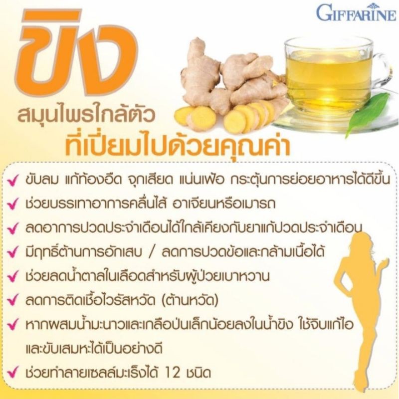 กิฟฟารีน-จินเจอร์ซี-ขิง-สารสกัดขิงชนิดแคปซูล-ginger-c-giffarine