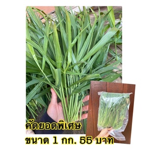 หญ้าขนสดอินทรีย์ฟาร์ม เด็ดด้วยมือ