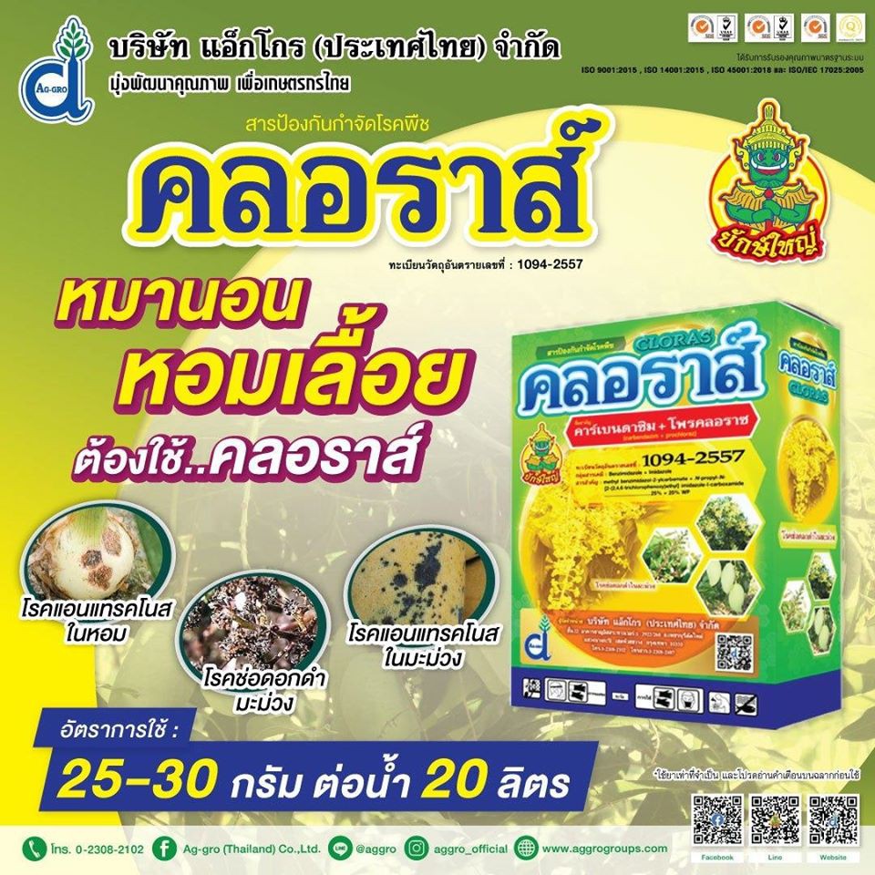 คลอราส์-250g-คาร์เบนดาซิม-โพรคลอลาส-สารกำจัดเชื้อรา-โรคแอนแทรคโนส-โรคกุ้งแห้ง-โรคดอกดำในมะม่วง-โรคราแป้ง-allaboutplants