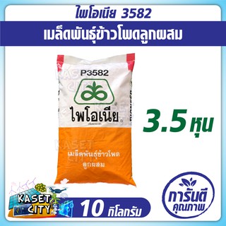 ข้าวโพดเลี้ยงสัตว์  ไพโอเนีย P3582 (3.5หุน) น้ำหนัก 10 กก. ข้าวโพด เมล็ดพันธุ์  เมล็ดผัก