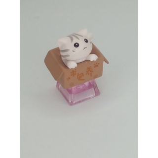 ภาพหน้าปกสินค้าDiy resin Keycaps แมวในกล่องสุดน่ารัก ฐานคีย์แคปเรซิ่น แกนกากบาท + โปรไฟล์ OEM ที่เกี่ยวข้อง