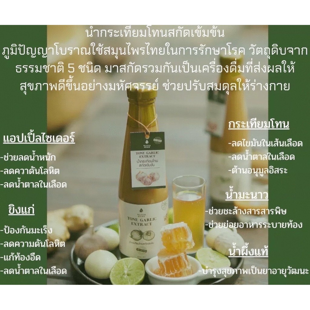 น้ำขิงกระเทียม-น้ำผึ่ง-water-herb-เครื่องดื่มสมุนไพรบำรุงร่ายการ-ขนาดบรรจุ-300ml-จำนวน-2-ขวด