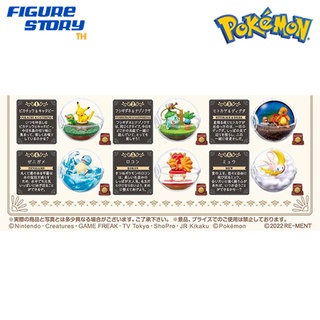 *Pre-Order*(จอง) Pokemon Terrarium Collection 10 6Pack BOX (อ่านรายละเอียดก่อนสั่งซื้อ)