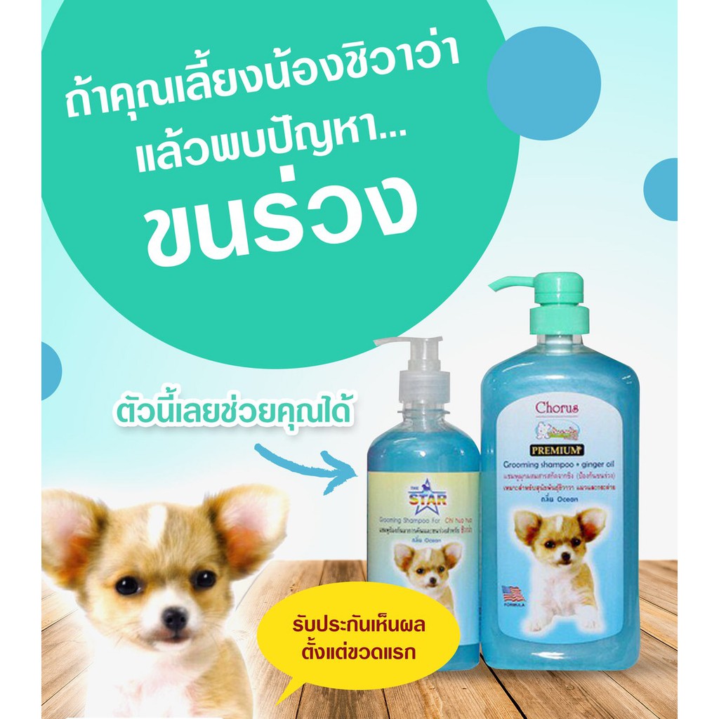 ภาพหน้าปกสินค้าแชมพูสุนัข The Star Chihuahua 500 ml. สูตรช่วยบำรุงขน ป้องกันอาการคัน สำหรับสุนัขพันธุ์ชิวาว่า (500 มล./ขวด) จากร้าน paphangkornsrisawangchok บน Shopee