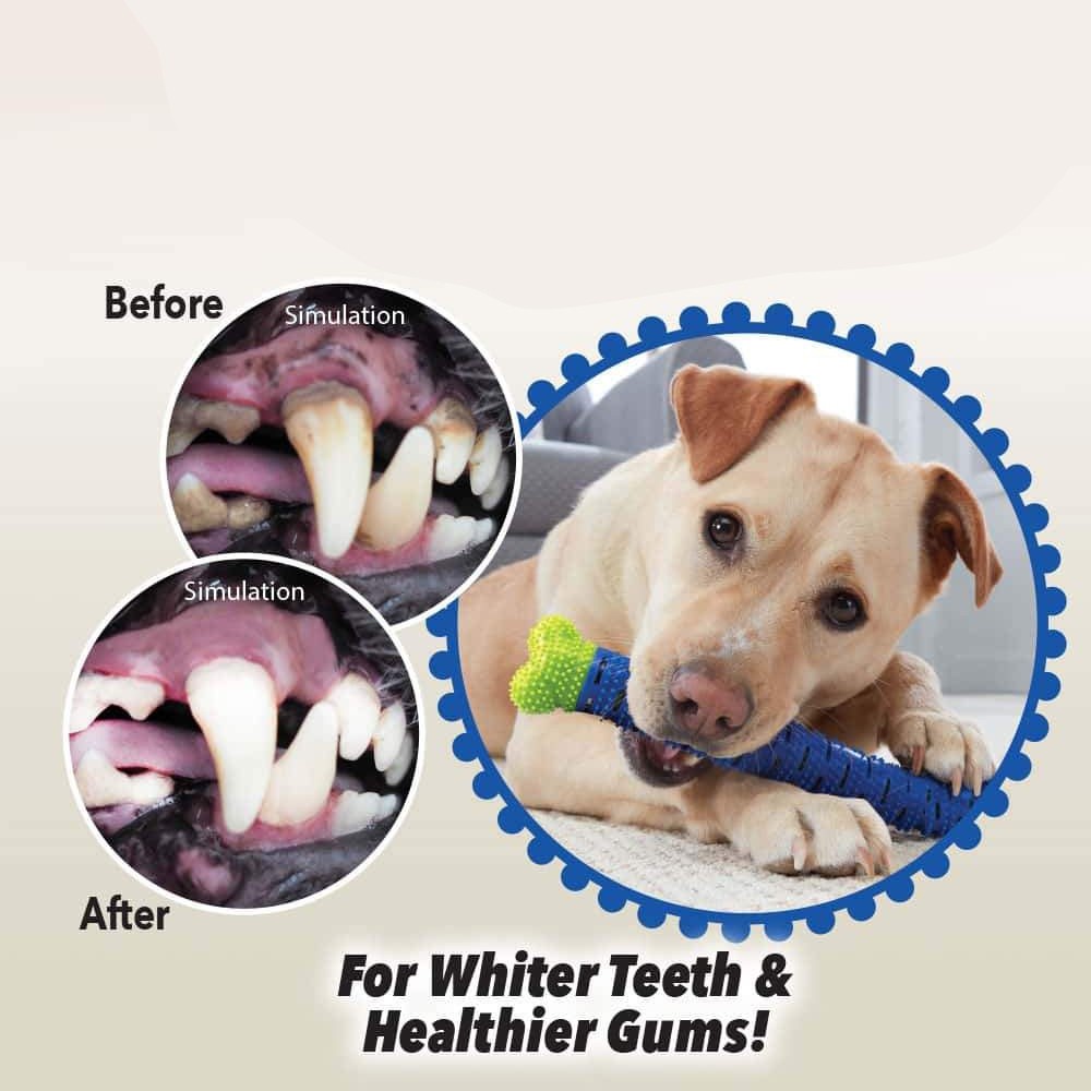 chewbrush-กระดูกยางขัดฟันสุนัข-กระดูกหมา-กระดูกยางหมา-กระดูก-ของเล่นหมา