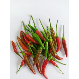 🌶️🌶️พริกขี้หนูสดใหม่จากสวนออแกนิค💥พร้อมส่ง💥เริ่มต้น ขนาด 200g