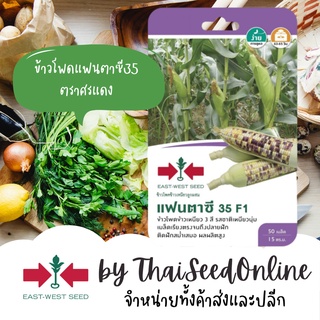 ภาพขนาดย่อของภาพหน้าปกสินค้าGGEW เมล็ดพันธุ์ซฟ ข้าวโพดข้าวเหนียวแฟนตาซี35 50 เมล็ด ตราศรแดง Corn จากร้าน thaiseedonline บน Shopee