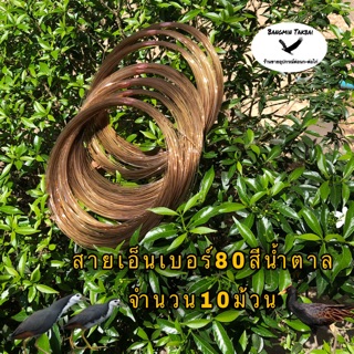 สายเอ็นทำครืน เบอร์80 จำนวน10ม้วนสีใบไม้แห้ง สายเอ็นทำครืนดักไก่ป่า สายเอ็นทำครืนดักนกกวัก สายเอ็นทำครืนดักนกอีลุ้ม-ไก่