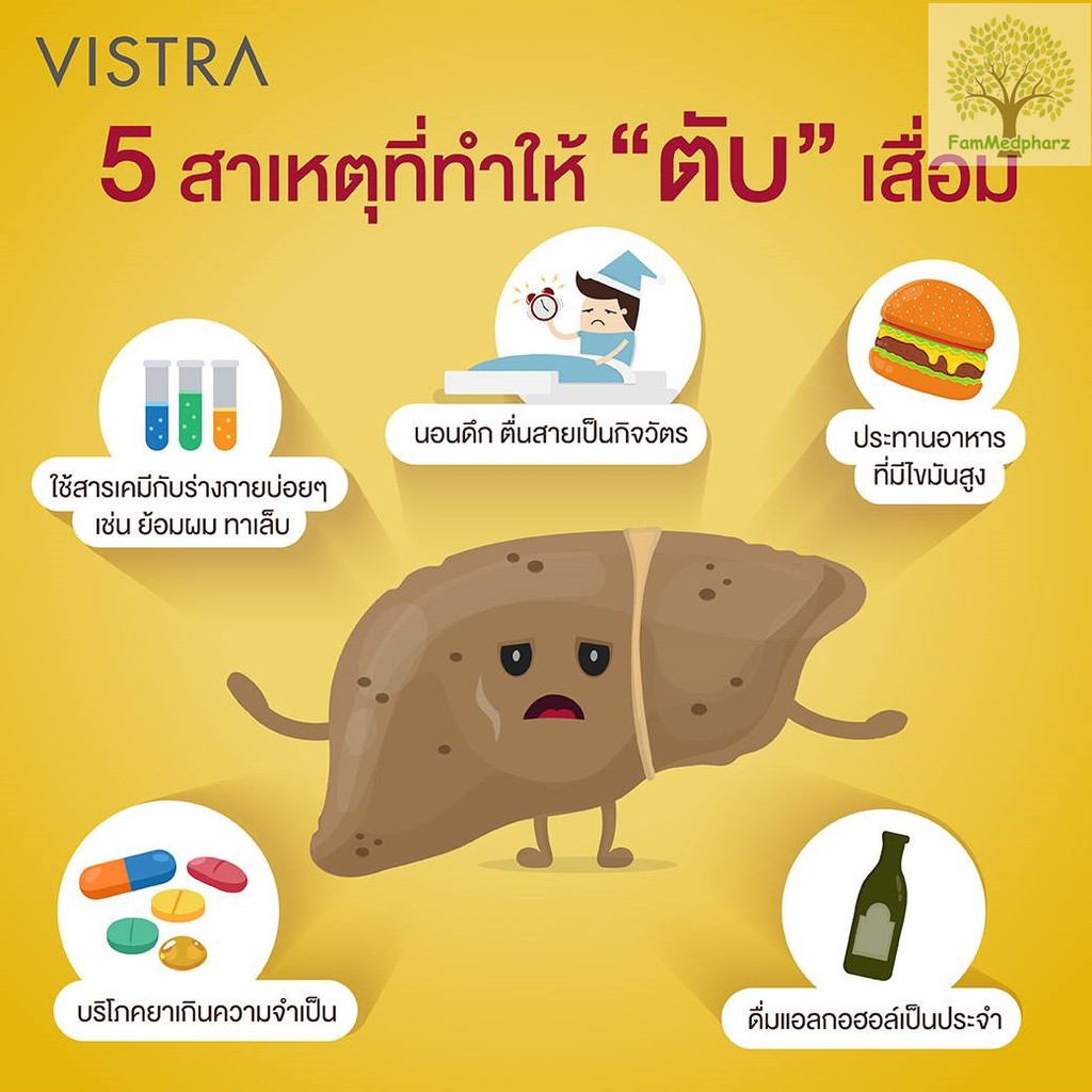 ภาพสินค้าVISTRA Soy Lecithin (90 แคปซูล) เลซิตินจากถั่วเหลือง จากร้าน fammed บน Shopee ภาพที่ 1