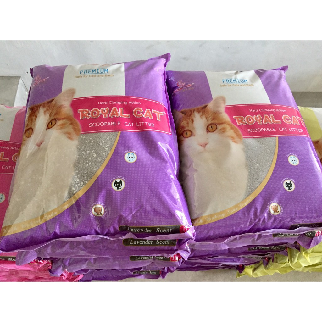 ภาพหน้าปกสินค้าโปรโมชั่น Hot ทรายแมวหินภูเขาไฟ Royal Cat 12 ลิตร(209.-) จากร้าน theonepetmart บน Shopee