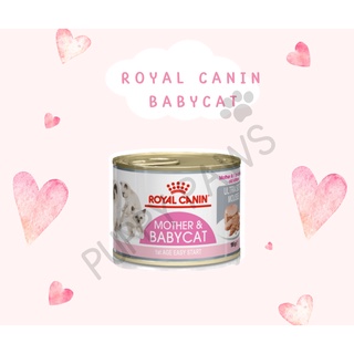 Royal Canin Mother &amp; Baby Cat อาหารกระป๋องสำหรับแม่และลูกแมว อาหารเปียก อาหารแมว รอยัล คานิน