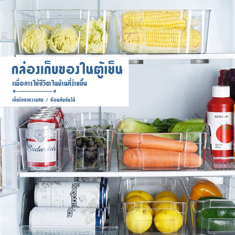 กล่องเก็บของในตู้เย็น-กล่องเก็บของสด-กล่องพลาสติก-เก็บผัก-กล่องถนอมอาหาร-ป้องกันกลิ่นไม่พึงประสงค์-b-061