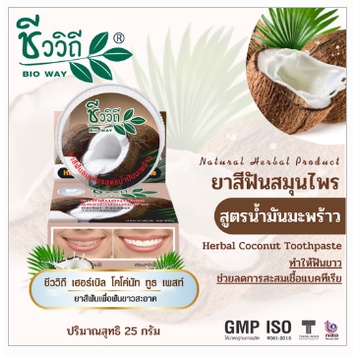 ชีววิถี-ยาสีฟันสมุนไพรเข้มข้น-สูตรมะพร้าว-แบบตลับ-25-กรัม-8605