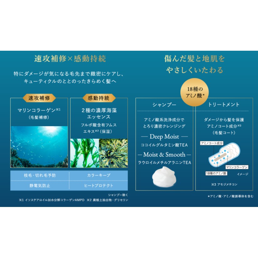 kose-cosmeport-je-laime-ทรีทเมนต์-เชอแลม-อะมิโน-แอลเจ-รีช-มอยส์-แอนด์-สมูท-สูตรเอสเซนส์สาหร่าย-สำหรับผมเสีย-ชุดละ-2-ขวด
