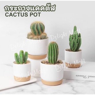 🌵ชุด 2 ใบ🌵กระถางแคคตัสมินิมอล พร้อมจานรอง กระถางกระบองเพชร กระถางรดน้ำต้นไม้อัตโนมัติ กระถางต้นไม้ กระถางสวย ราคาถูก