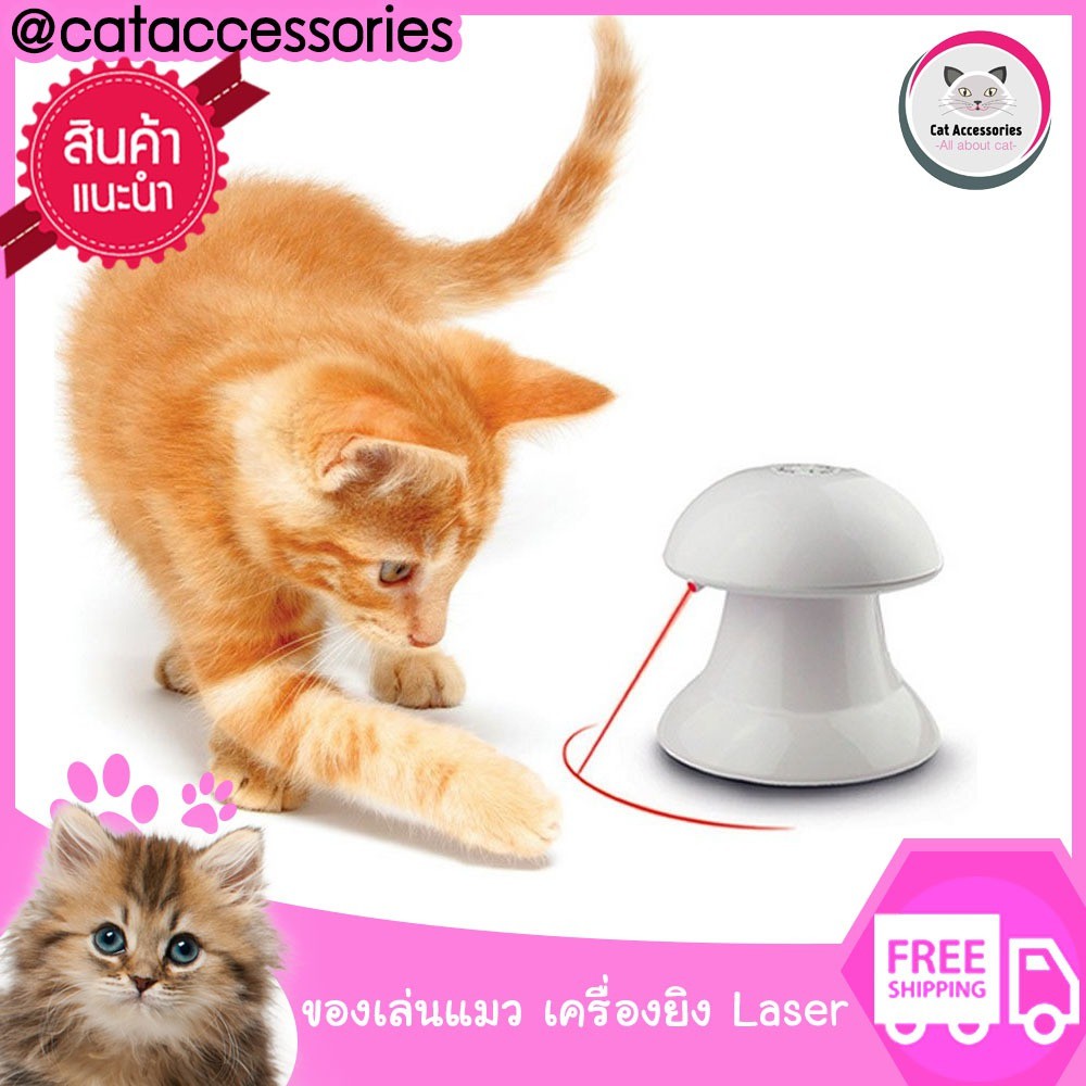 cat-accessories-ของเล่นแมว-เครื่องยิง-laser-แมว