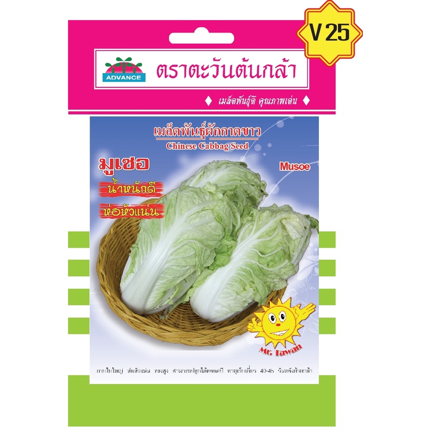 เมล็ดผักกาดขาวปลี-op-มูเซอ-ตราตะวันต้นกล้า