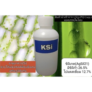 โปแตสเซี่ยมซิลิเกต AgSil 21ชนิดน้ำ เสริมความต้านทานให้พืชแข็งแรง(Aqueous Potassium Silicate)