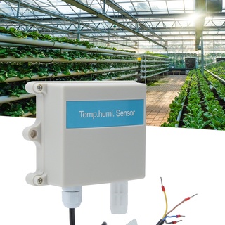 December305 Wall-mounted Temperature and Humidity Transmitter Sensor Environment Test for Greenhouse