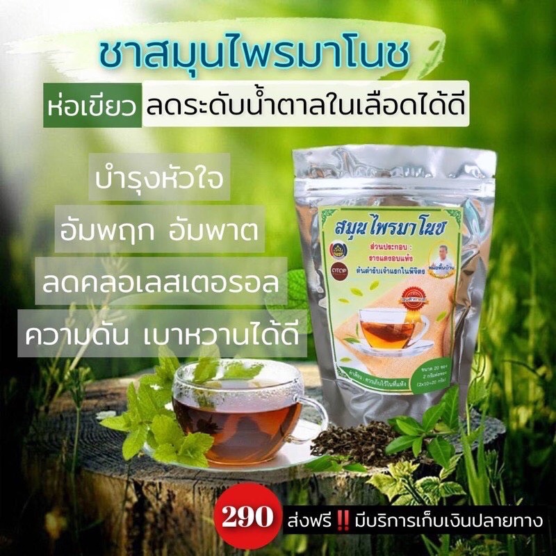 ชามาโนช-ห่อเขียว-1-ห่อ-สินค้าโอทอป-เบาหวาน-บำรุงหัวใจ-ลดน้ำตาลในเลือด-ความดัน-เบาหวาน-อัมพฤก-อัมพาต-เห็นผลตั้งแต่ห่อแรก