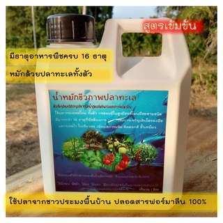 ภาพขนาดย่อของภาพหน้าปกสินค้าน้ำหมักชีวภาพปลาทะเลสูตรเข้มข้น 1 ลิตร จากร้าน khongpetchorganic บน Shopee