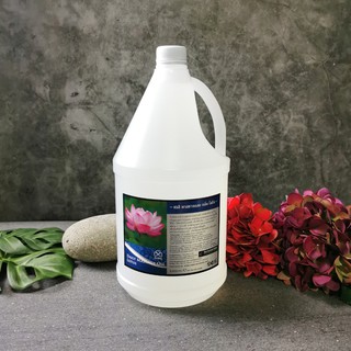BYSPA น้ำมันนวดตัว Daily massage Oil กลิ่น ดอกบัว Lotus 3,650 ml.