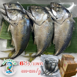ภาพหน้าปกสินค้าปลาทู#ร้านแม่กลอง๑#ปลาทูนึ่ง#size6ตัว/ แพ็คละ160฿ในเนื้อปลาจะมีความนิ่มมันอร่อยโดยไม่ต้องปรุงเพิ่ม ที่เกี่ยวข้อง