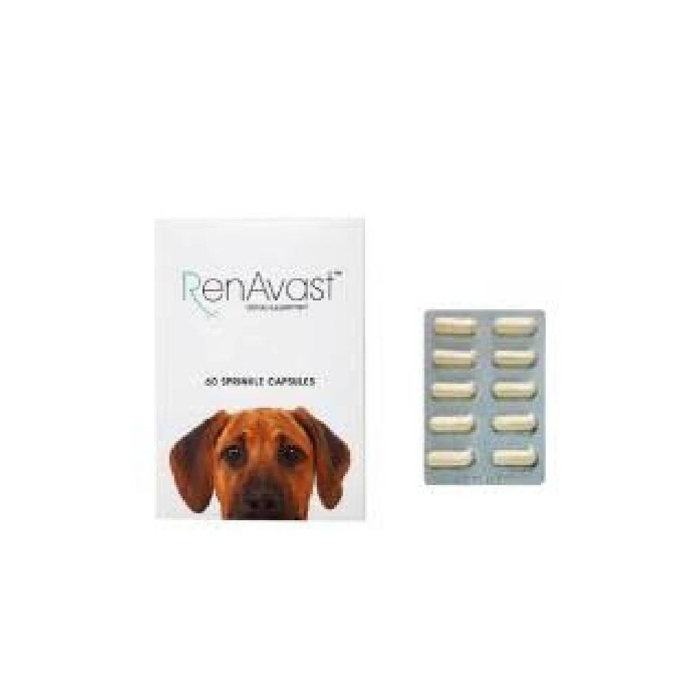 ภาพหน้าปกสินค้าRenavast for dog (หมดอายุ 03/2025) อาหารเสริมโปรตีน สำหรับสุนัข อายุ 1 ปีขึ้นไป บรรจุ 60 แคปซูล
