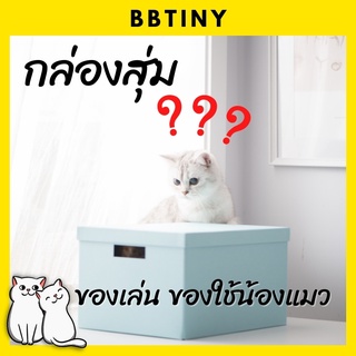BBTINY - กล่องสุ่ม ของเล่น ของใช้ แมว สุดคุ้ม มี 2 ขนาด กล่องเล็ก กล่องใหญ่