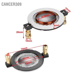 Cancer309 ฟิล์มไทเทเนียม 8 โอห์ม สําหรับเครื่องเสียง