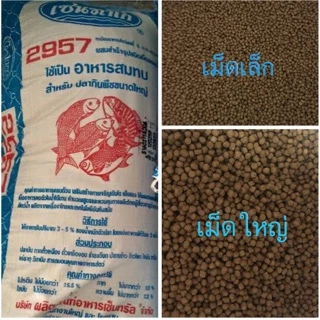 fish head ราคาพิเศษ  ซื้อออนไลน์ที่ Shopee ส่งฟรี*ทั่วไทย!