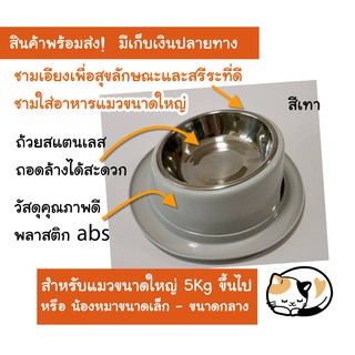 สินค้า [🔥มีโค้ตลดเพิ่ม] พร้อมส่ง!!!ชามอาหารแมว ชามอาหารหมา แบบเอียง ถูกหลักสรีระ