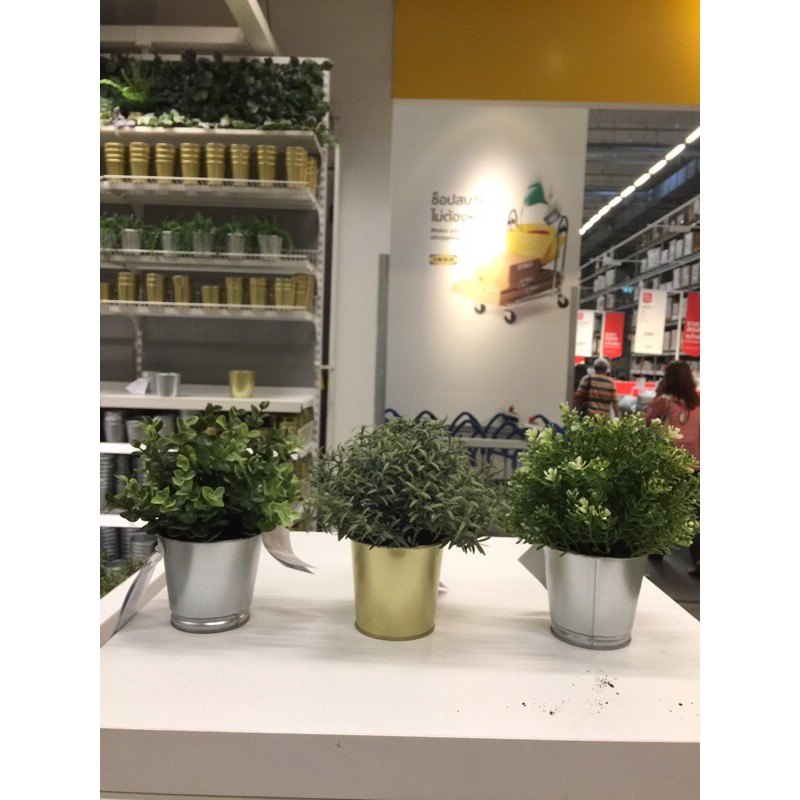 ภาพสินค้าFejka ต้นไม้ประดิษฐ์มีให้เลือก 4 แบบ สูง 22 cm. IKEA จากร้าน ruji78 บน Shopee ภาพที่ 4