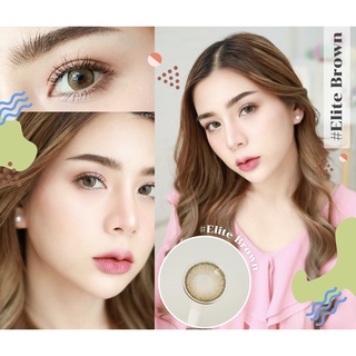 คอนแทคเลนส์🌈Elite🌈 Brown/Gray (Montra) ขนาดมินิ💖