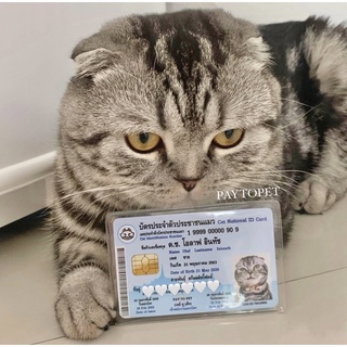 บัตรประชาชนสัตว์เลี้ยง 🐱 บัตรแข็ง PVC (ทักร้านค้าก่อนกดสั่งซื้อ)