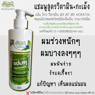 สินค้า แชมพูแก้ผมร่วงหนักๆ ผมบางลง ปัญหาหัวล้าน-หัวเถิก-ผมมันเชื้อรา\"สูตรโปรวิตามิน&กะเม็ง\" เร่งสร้างผมใหม่ พันธุ์ไทยเฮิร์บ