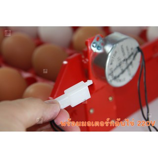 ภาพขนาดย่อของภาพหน้าปกสินค้า(ส่งด่วน ในไทย) รางฟักไข่ ถาดฟักไข่ รุ่น 4 ราง ไข่ไก่ ไข่เป็ด 24 ฟอง ไข่นก 96 ฟอง ถาดผลิกไข่ กลับไข่อัตโนมัติ จากร้าน chickenfarm บน Shopee