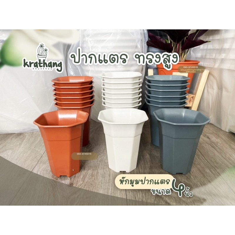 ปากแตรทรงสูง-4นิ้ว-กระถางแคคตัส-กระถางปากแตร