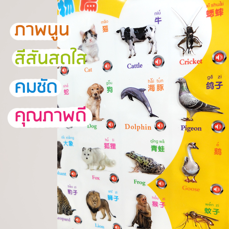 โปสเตอร์พูดได้-2-ภาษา-ตัวอักษรนูน-รุ่นใหม่แผ่นใหญ่-ของเล่นเด็กเสริมพัฒนาการ